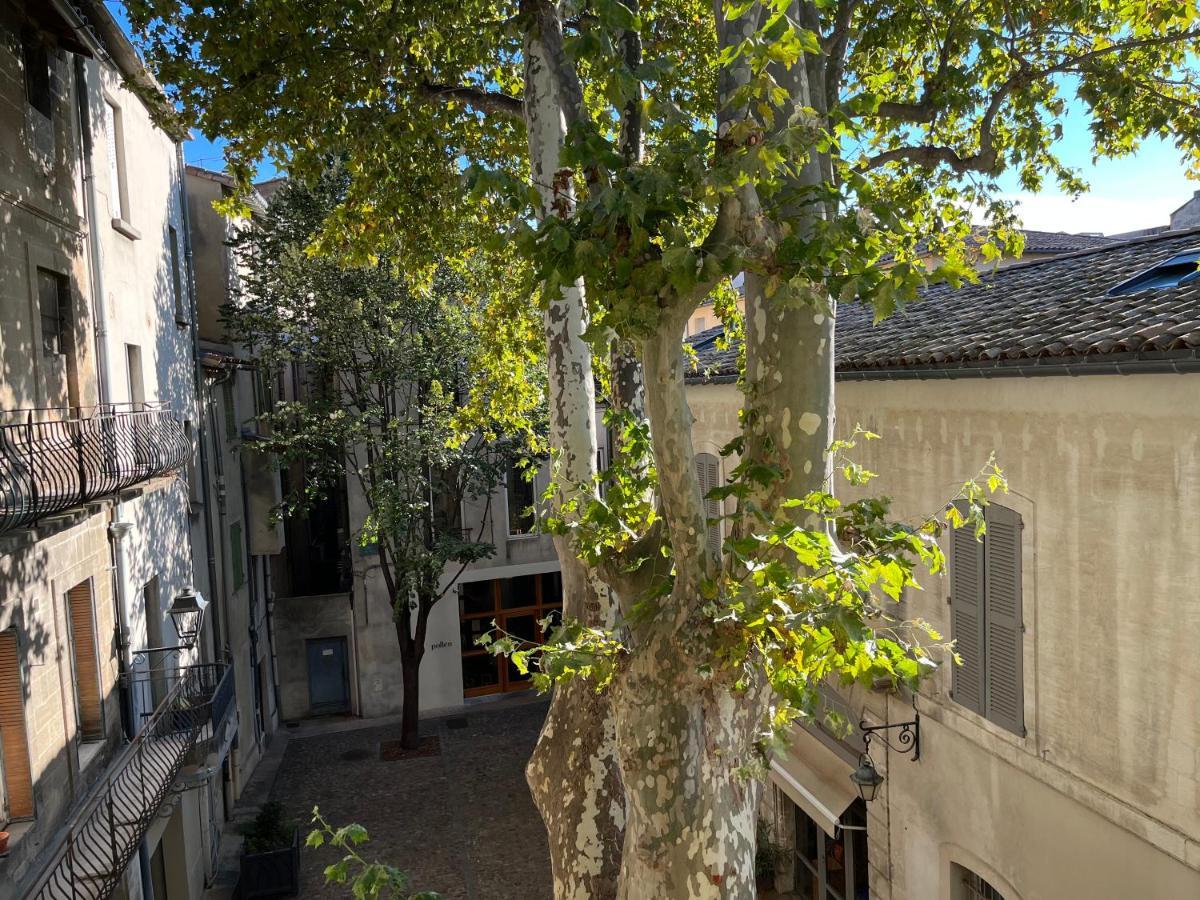 La Charmante Du Palais 2 Chambres Avignon Exterior photo